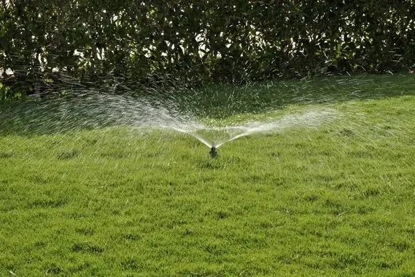 Irrigation Services