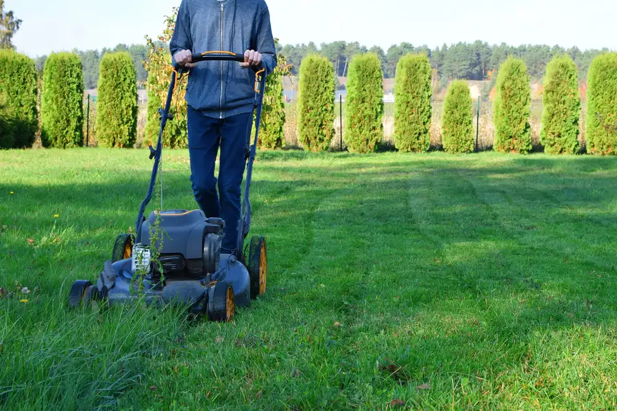 How Regular Lawn Mowing Promotes Healthy Grass Growth Santa Cruz CA How Regular Lawn Mowing Promotes Healthy Grass Growth Santa Cruz CA
