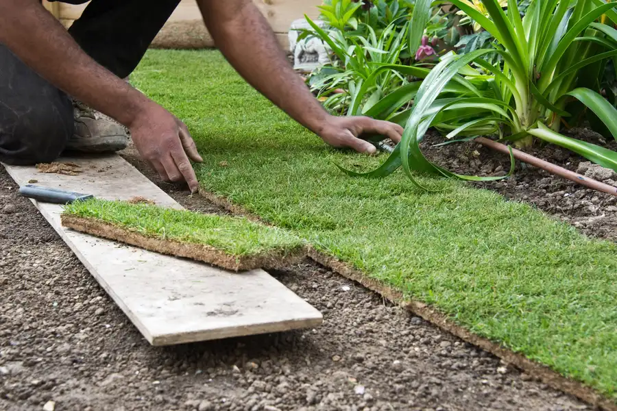 Key Factors To Consider Before Turf Installation in Santa Cruz CA Key Factors To Consider Before Turf Installation in Santa Cruz CA
