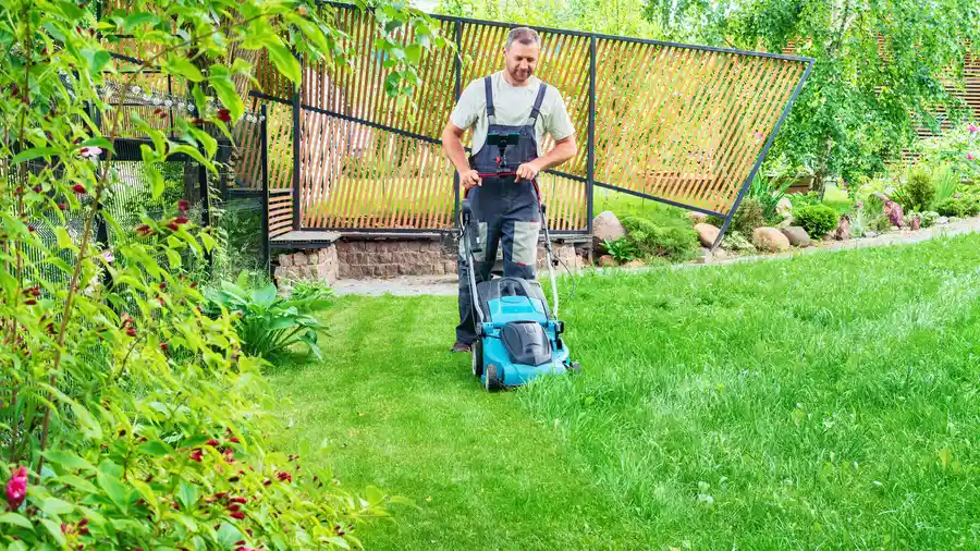 Professional Lawn Mowing Santa Cruz CA