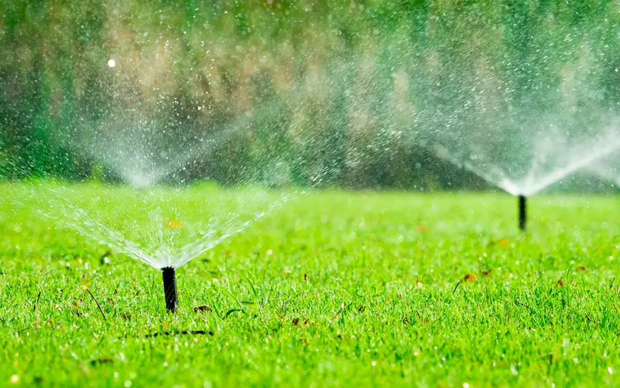 Reputable Irrigation Services Santa Cruz CA