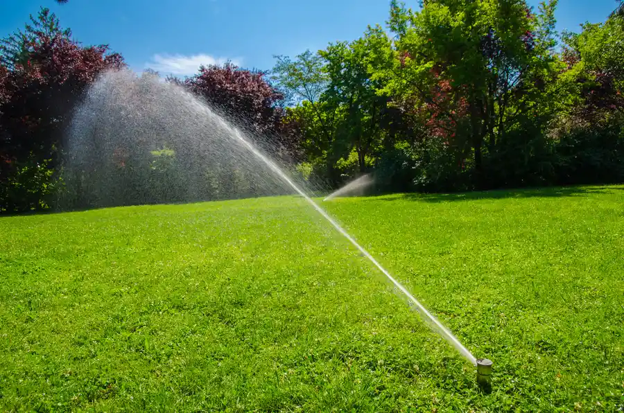 The Benefits Of Professional Irrigation System Installation in Santa Cruz CA