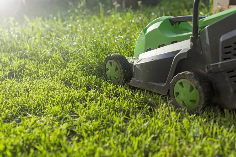 The Importance Of Proper Lawn Mowing Techniques For Lawn Health in Santa Cruz CA
