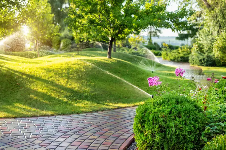 Top-rated Irrigation Services Santa Cruz CA